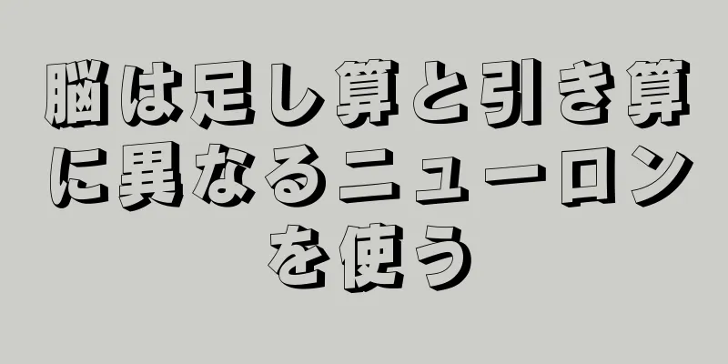脳は足し算と引き算に異なるニューロンを使う