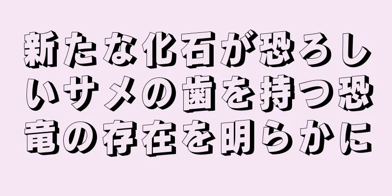 新たな化石が恐ろしいサメの歯を持つ恐竜の存在を明らかに