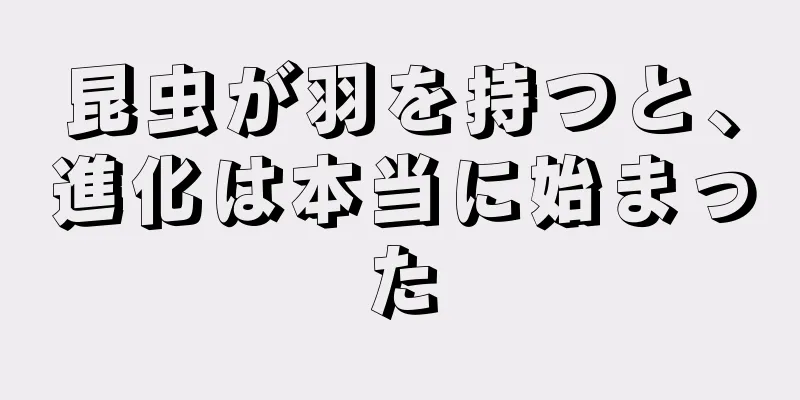 昆虫が羽を持つと、進化は本当に始まった