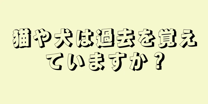 猫や犬は過去を覚えていますか？