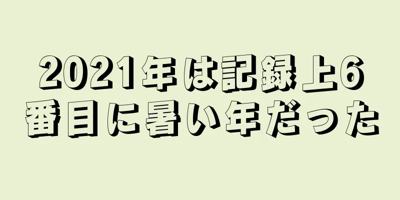 2021年は記録上6番目に暑い年だった