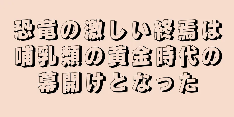 恐竜の激しい終焉は哺乳類の黄金時代の幕開けとなった