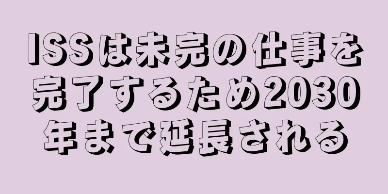 ISSは未完の仕事を完了するため2030年まで延長される