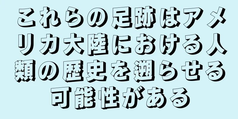 これらの足跡はアメリカ大陸における人類の歴史を遡らせる可能性がある