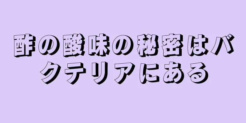 酢の酸味の秘密はバクテリアにある
