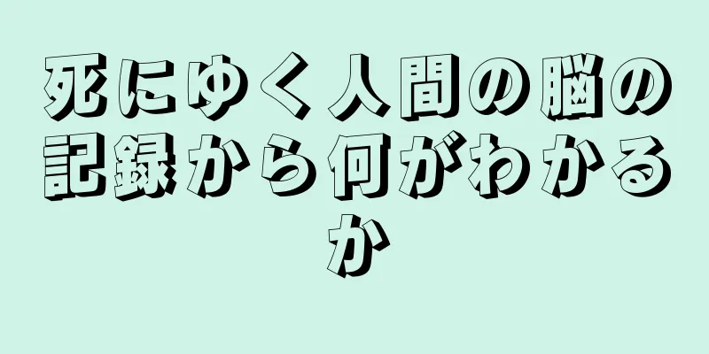 死にゆく人間の脳の記録から何がわかるか