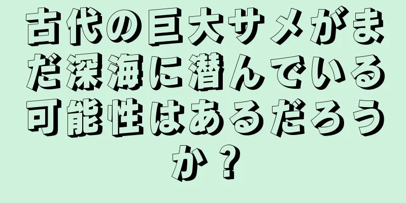 古代の巨大サメがまだ深海に潜んでいる可能性はあるだろうか？