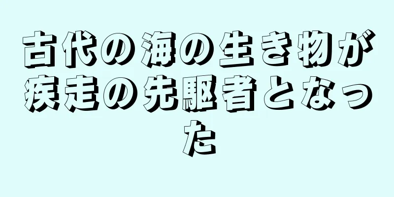古代の海の生き物が疾走の先駆者となった