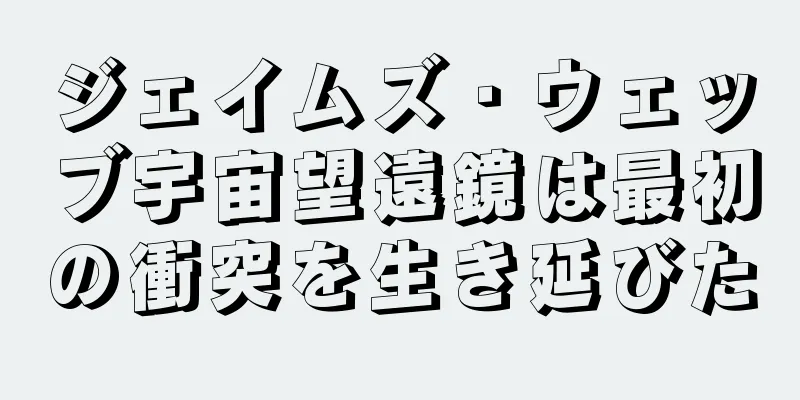 ジェイムズ・ウェッブ宇宙望遠鏡は最初の衝突を生き延びた