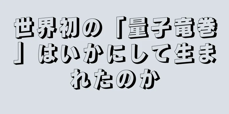 世界初の「量子竜巻」はいかにして生まれたのか