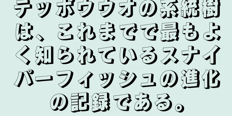 テッポウウオの系統樹は、これまでで最もよく知られているスナイパーフィッシュの進化の記録である。