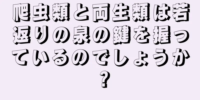 爬虫類と両生類は若返りの泉の鍵を握っているのでしょうか？