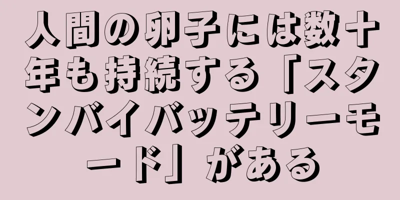 人間の卵子には数十年も持続する「スタンバイバッテリーモード」がある