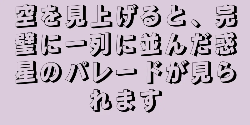 空を見上げると、完璧に一列に並んだ惑星のパレードが見られます