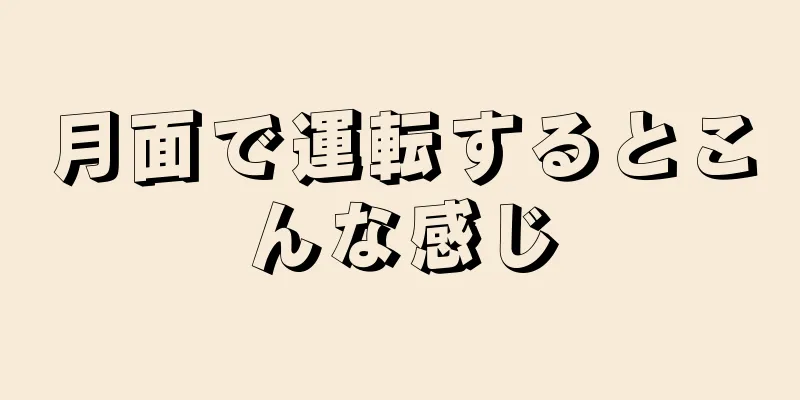 月面で運転するとこんな感じ