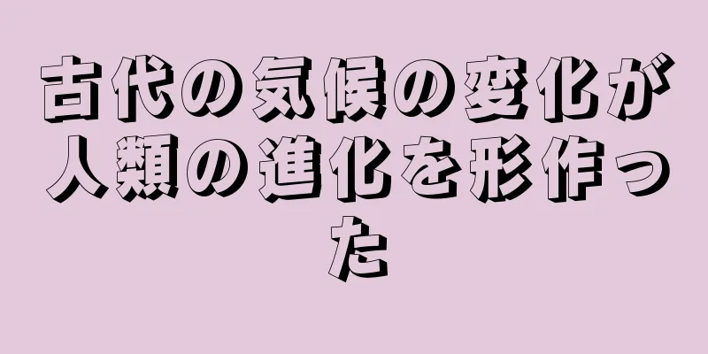 古代の気候の変化が人類の進化を形作った