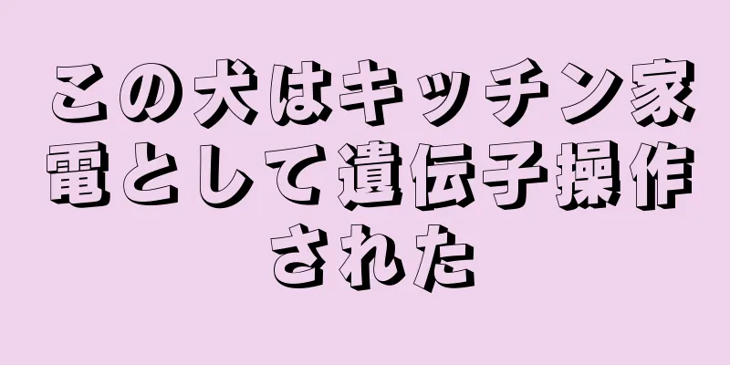 この犬はキッチン家電として遺伝子操作された