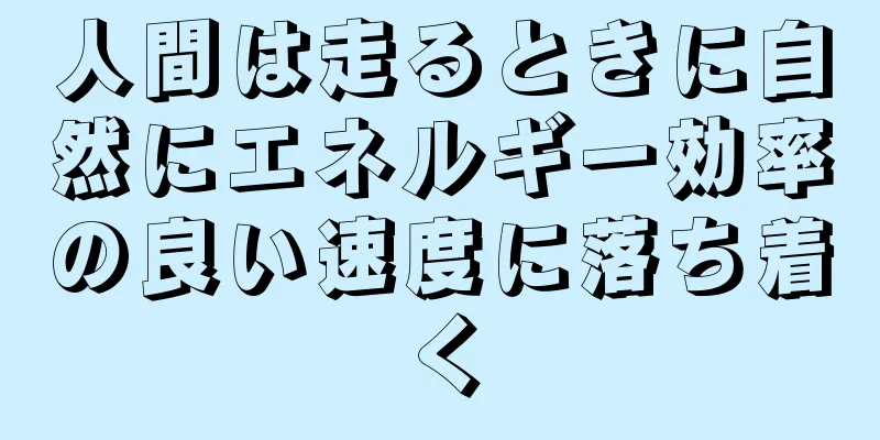 人間は走るときに自然にエネルギー効率の良い速度に落ち着く
