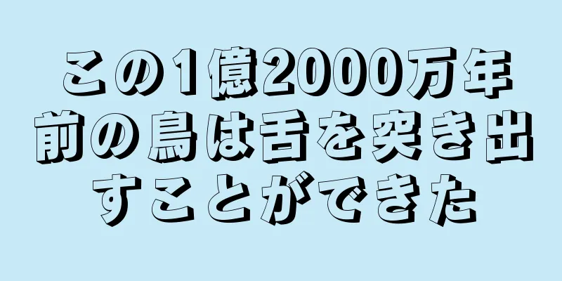この1億2000万年前の鳥は舌を突き出すことができた