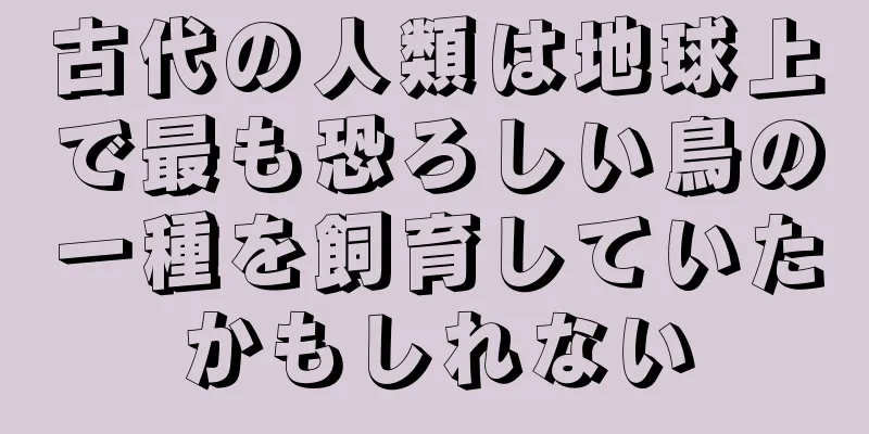 古代の人類は地球上で最も恐ろしい鳥の一種を飼育していたかもしれない
