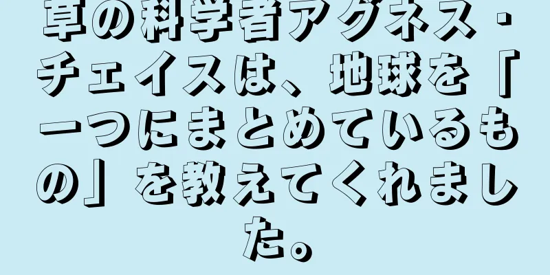 草の科学者アグネス・チェイスは、地球を「一つにまとめているもの」を教えてくれました。