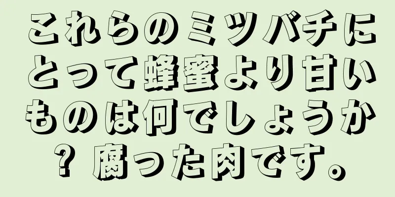 これらのミツバチにとって蜂蜜より甘いものは何でしょうか? 腐った肉です。