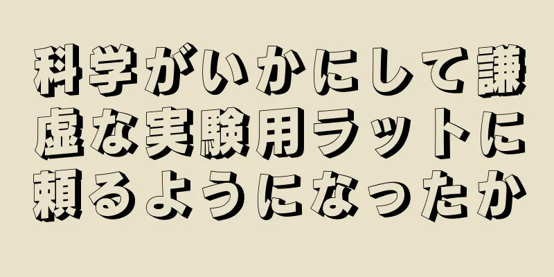 科学がいかにして謙虚な実験用ラットに頼るようになったか
