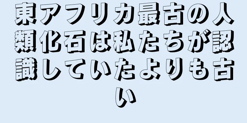 東アフリカ最古の人類化石は私たちが認識していたよりも古い