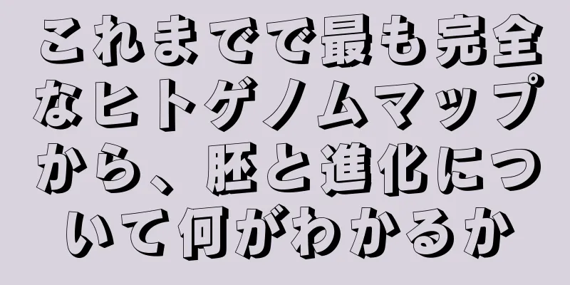 これまでで最も完全なヒトゲノムマップから、胚と進化について何がわかるか