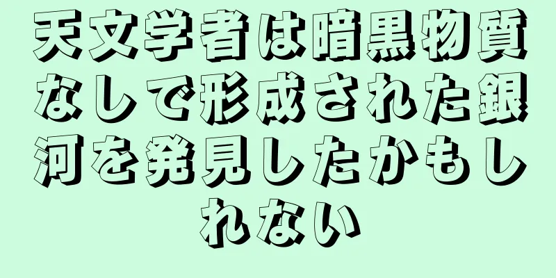 天文学者は暗黒物質なしで形成された銀河を発見したかもしれない
