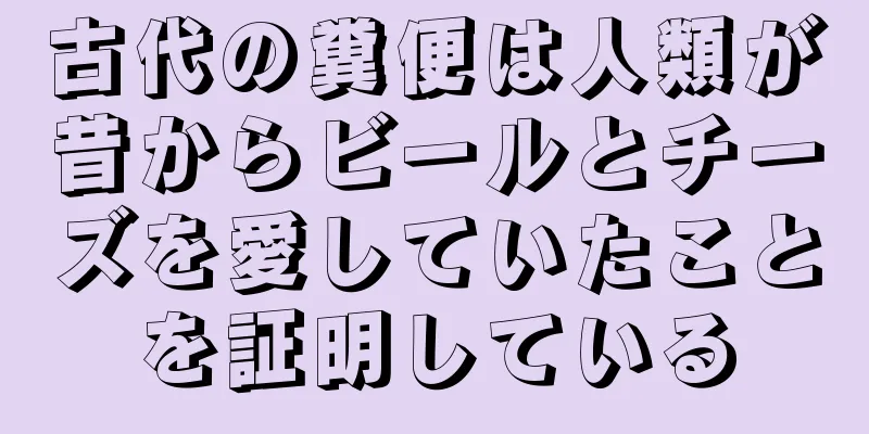 古代の糞便は人類が昔からビールとチーズを愛していたことを証明している