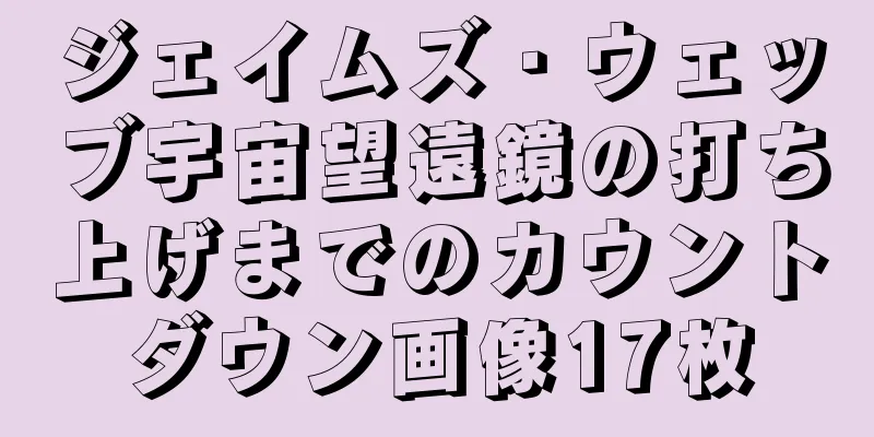 ジェイムズ・ウェッブ宇宙望遠鏡の打ち上げまでのカウントダウン画像17枚