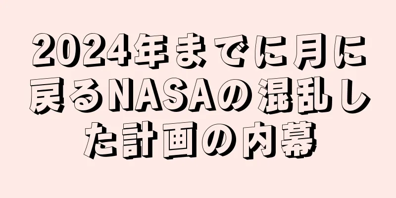 2024年までに月に戻るNASAの混乱した計画の内幕