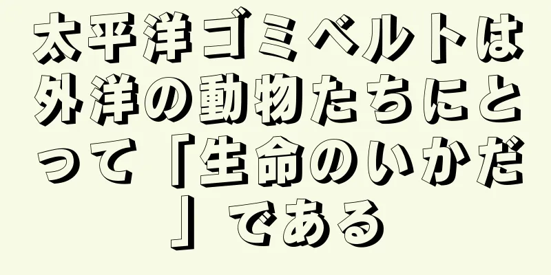 太平洋ゴミベルトは外洋の動物たちにとって「生命のいかだ」である