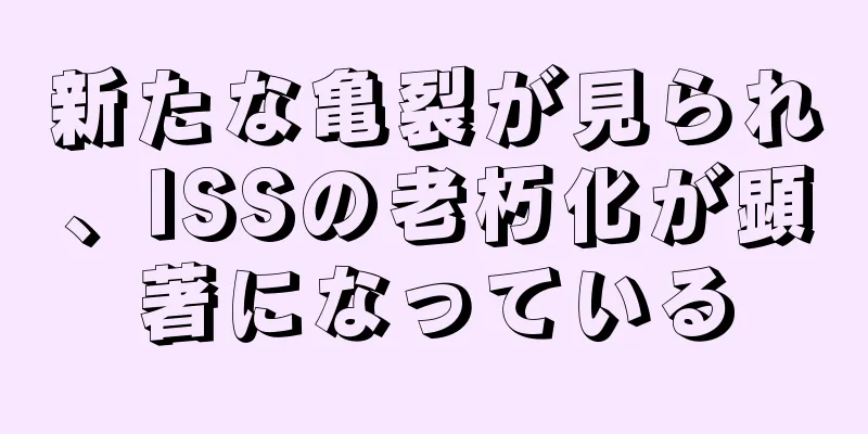 新たな亀裂が見られ、ISSの老朽化が顕著になっている