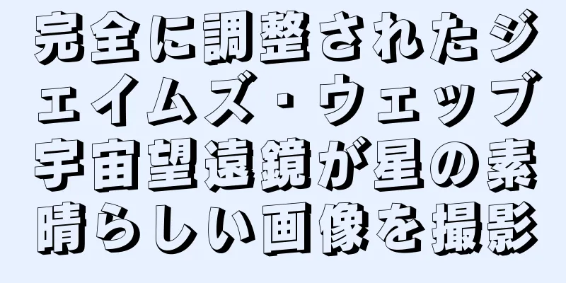 完全に調整されたジェイムズ・ウェッブ宇宙望遠鏡が星の素晴らしい画像を撮影