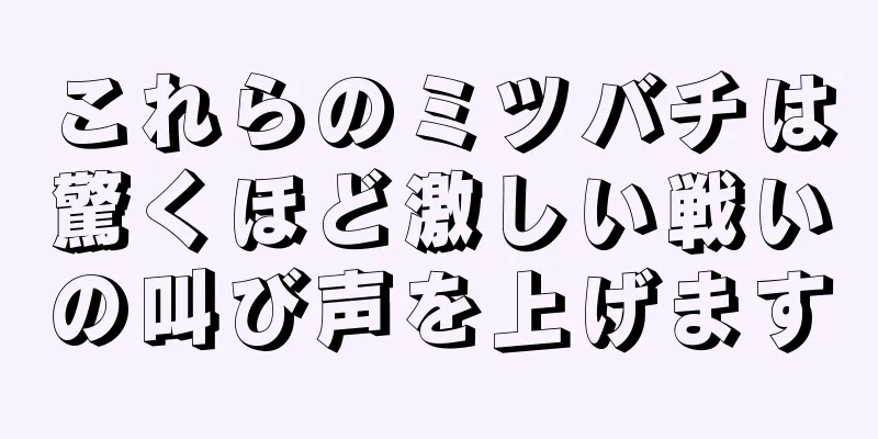 これらのミツバチは驚くほど激しい戦いの叫び声を上げます