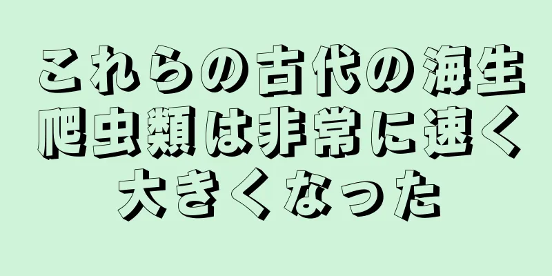 これらの古代の海生爬虫類は非常に速く大きくなった