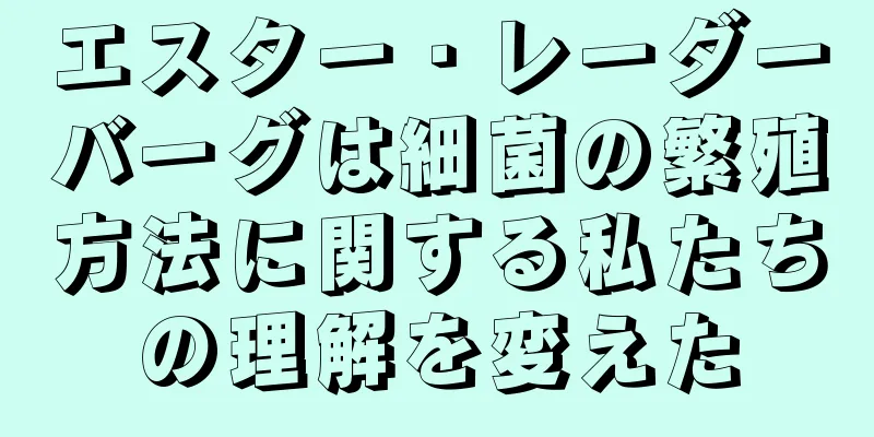 エスター・レーダーバーグは細菌の繁殖方法に関する私たちの理解を変えた