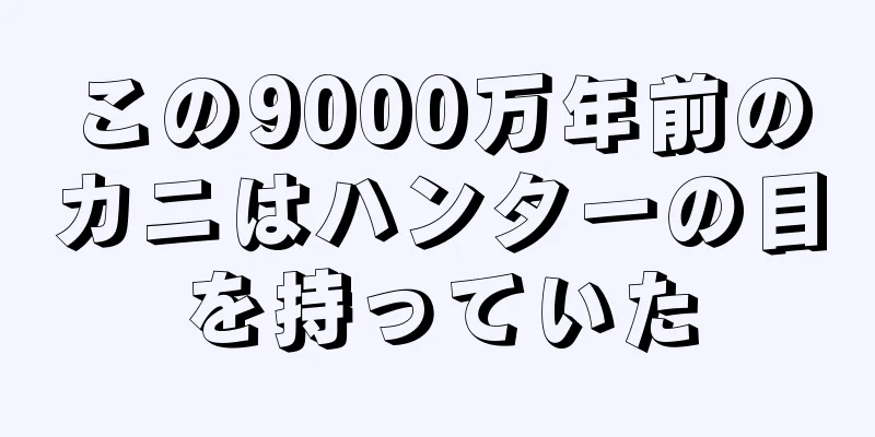 この9000万年前のカニはハンターの目を持っていた
