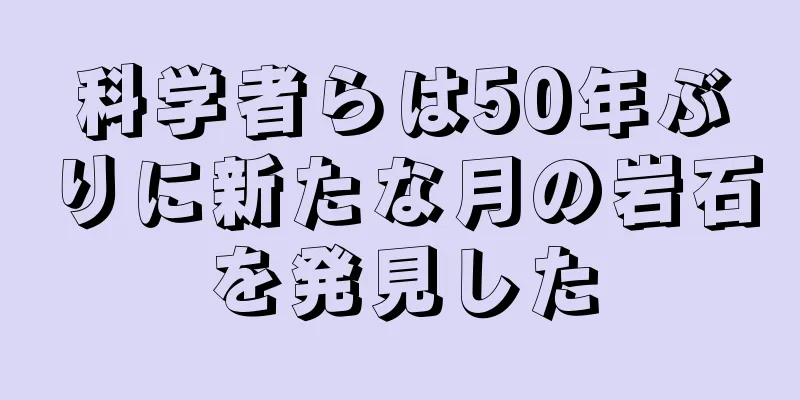 科学者らは50年ぶりに新たな月の岩石を発見した