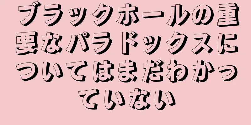 ブラックホールの重要なパラドックスについてはまだわかっていない