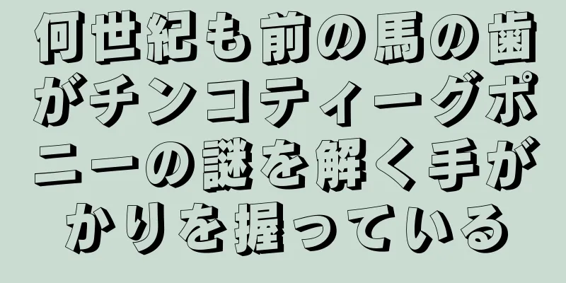 何世紀も前の馬の歯がチンコティーグポニーの謎を解く手がかりを握っている