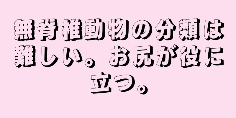 無脊椎動物の分類は難しい。お尻が役に立つ。