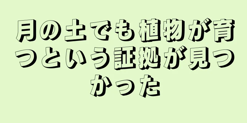 月の土でも植物が育つという証拠が見つかった