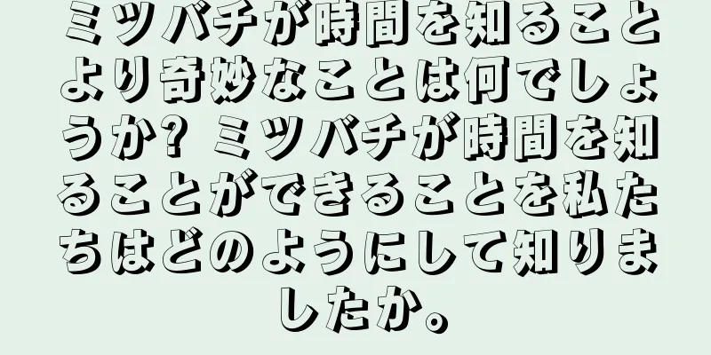 ミツバチが時間を知ることより奇妙なことは何でしょうか? ミツバチが時間を知ることができることを私たちはどのようにして知りましたか。