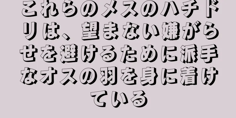 これらのメスのハチドリは、望まない嫌がらせを避けるために派手なオスの羽を身に着けている