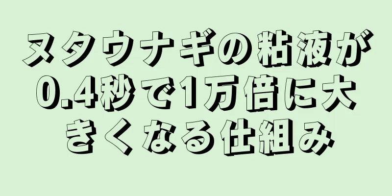 ヌタウナギの粘液が0.4秒で1万倍に大きくなる仕組み