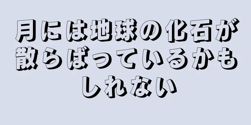 月には地球の化石が散らばっているかもしれない