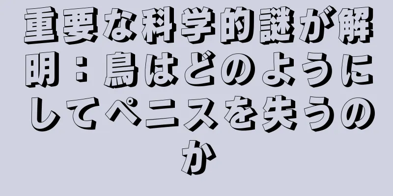 重要な科学的謎が解明：鳥はどのようにしてペニスを失うのか